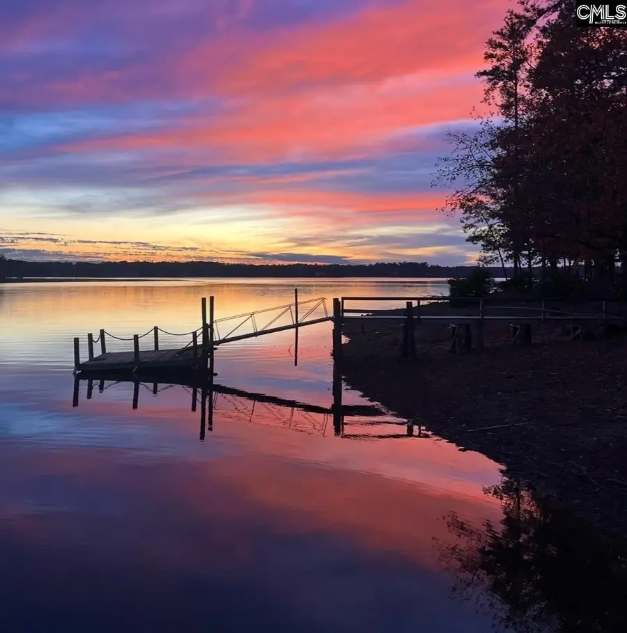 315 Old Landing Court, Chapin, SC 29036 - Image #3