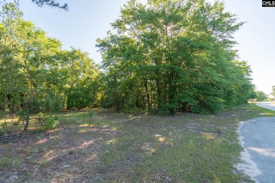 000 Airport Road, Pageland, SC 29728 - #2