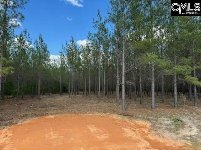 HHF 3 Old Georgetown Road #HHF 3, Kershaw, SC 29067 - Image #1