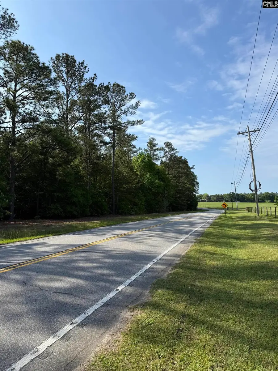 TBD Calks Ferry Road, Lexington, SC 29072 - #3