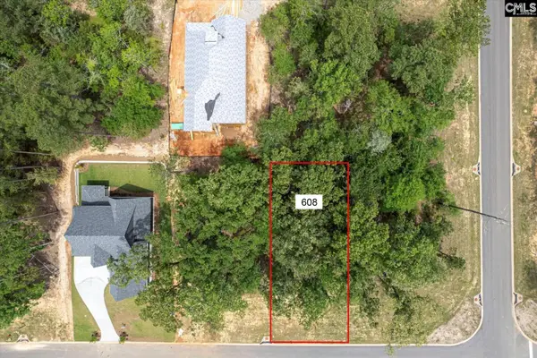 608 Misty Banks Drive, Chapin, SC 29036