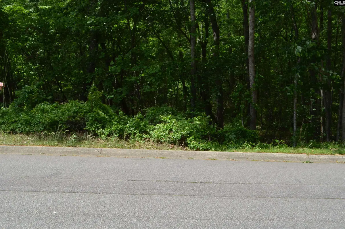 Lakeridge Parkway, Columbia, SC 29204 - Image #1