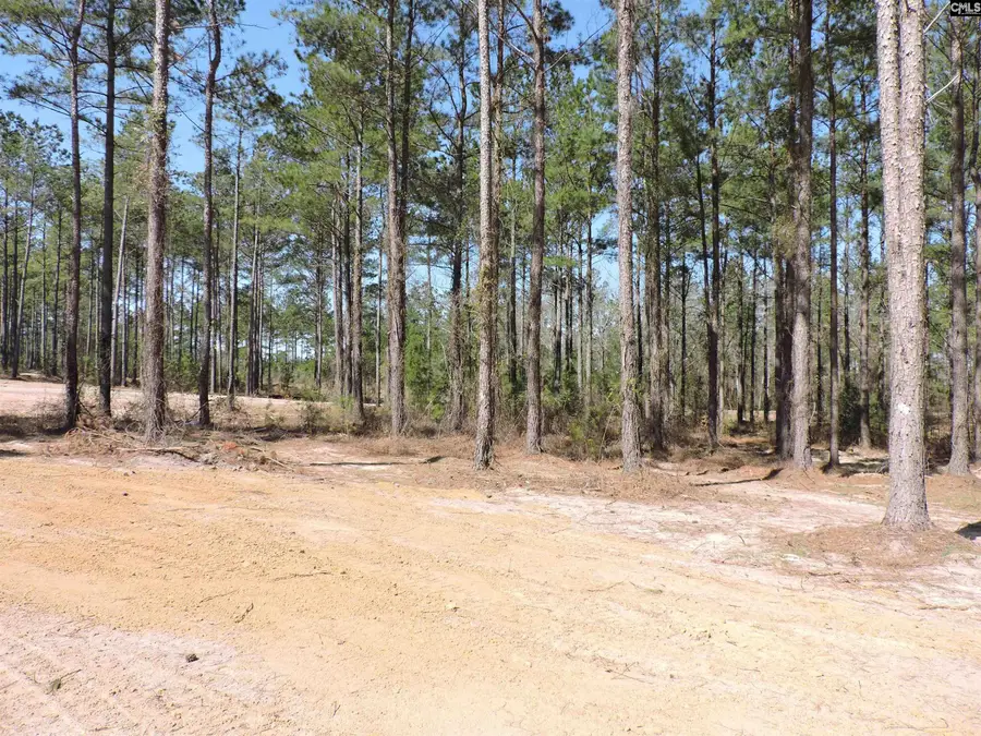 812 White Pond Road, Williston, SC 29853 - Image #2