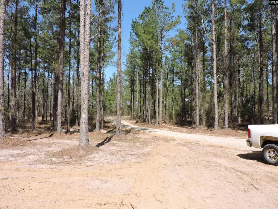 812 White Pond Road, Williston, SC 29853 - Image #3