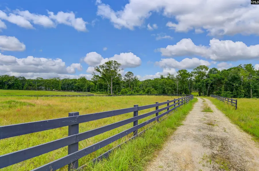 2544 Wessinger Road, Chapin, SC 29036 - Image #2