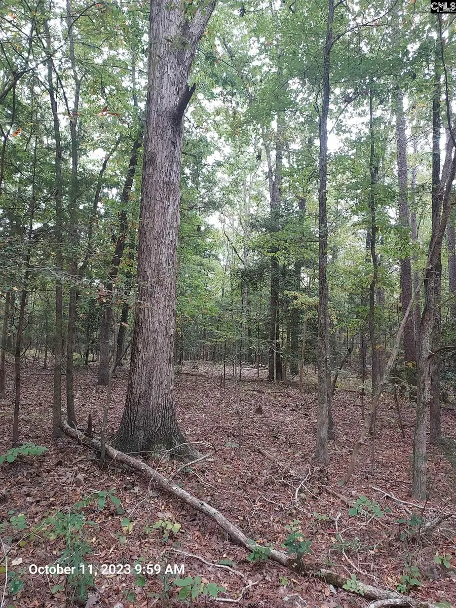 100 Stone Hill Road, Chapin, SC 29036 - Image #3