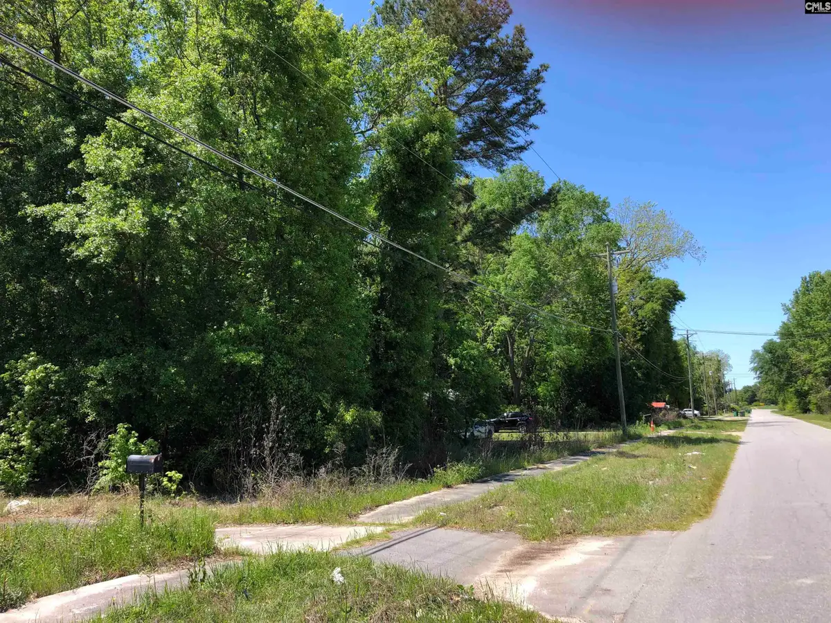 0 Hampton Street, Denmark, SC 29042 - Image #1