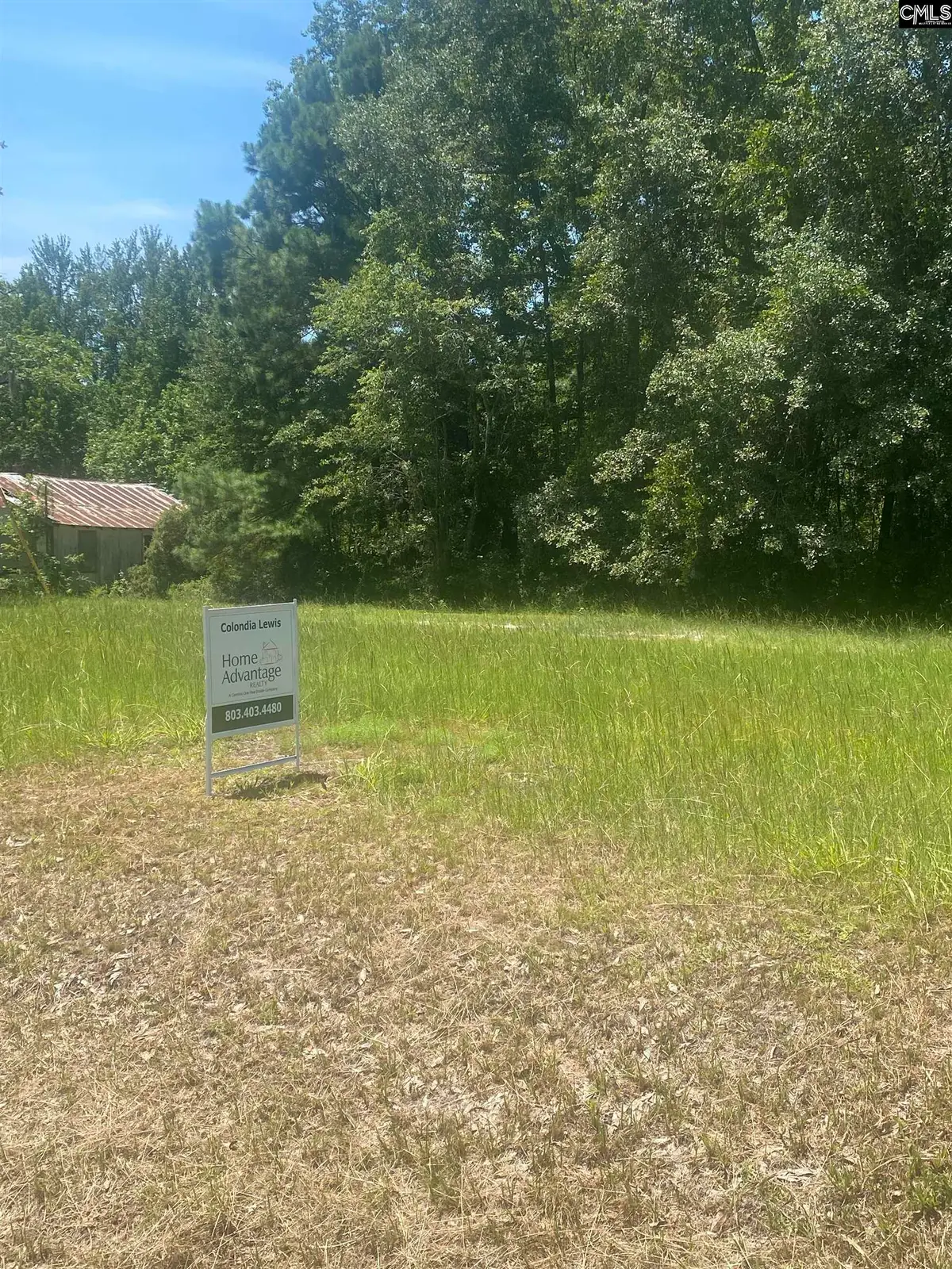 0 Second Texas Rd Road, Saint George, SC 29477 - Image #1