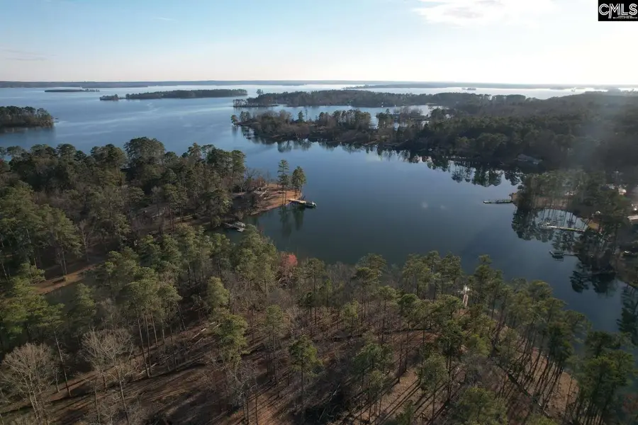 1533 Saugus Court, Chapin, SC 29036 - Image #3