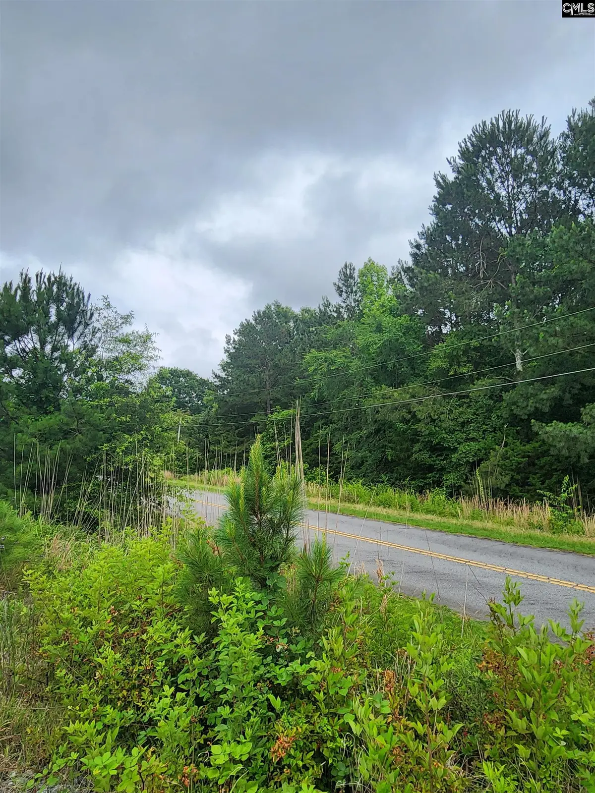 0 Elm Street, Prosperity, SC 29127 - Image #1