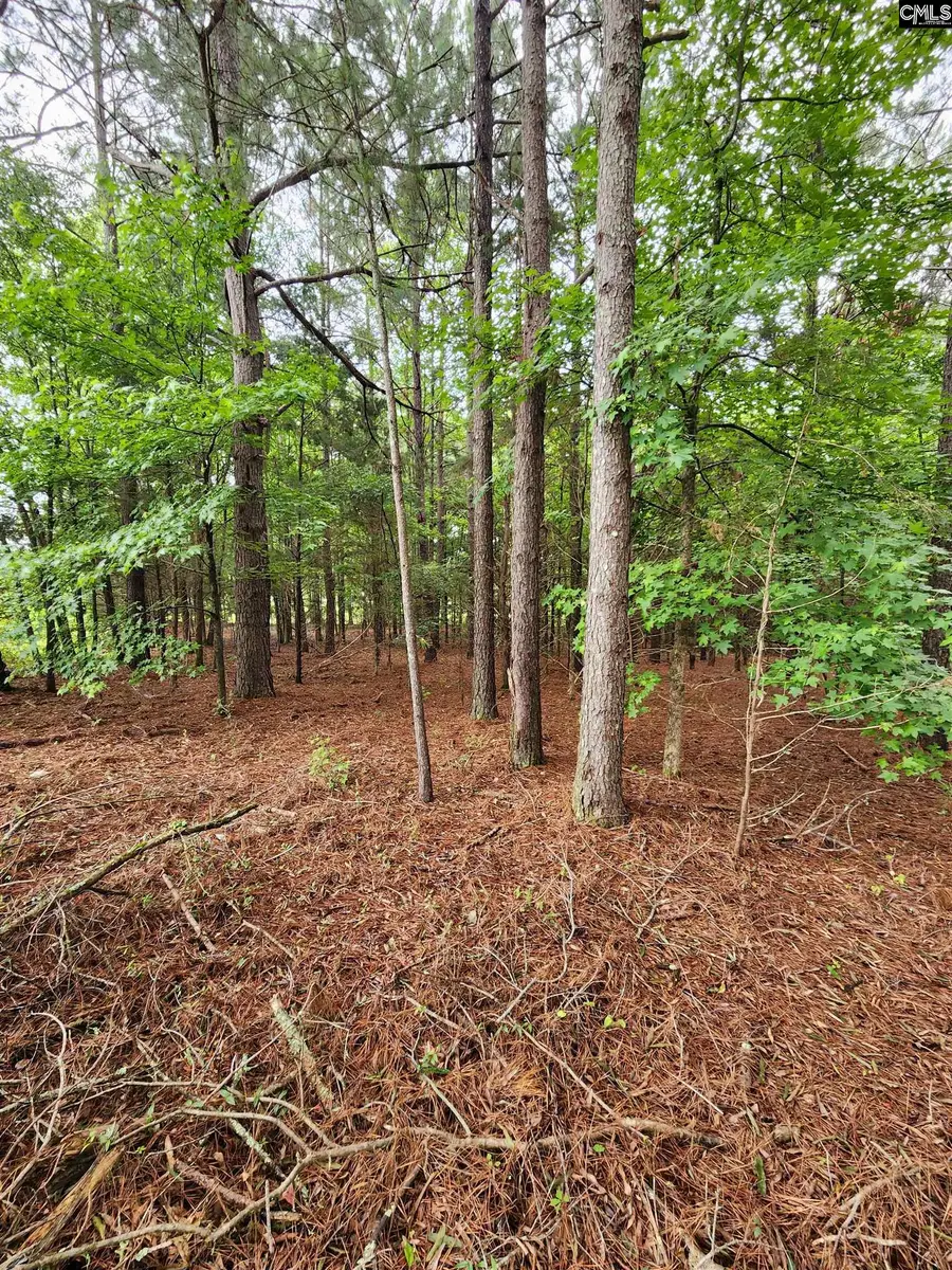 0 Elm Street, Prosperity, SC 29127 - Image #2