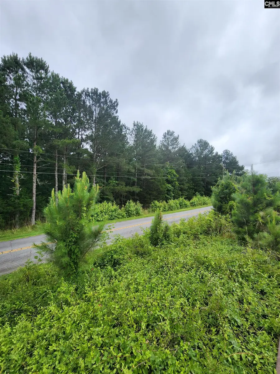 0 Elm Street, Prosperity, SC 29127 - Image #3