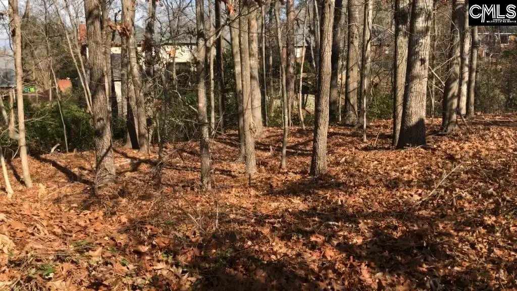 326 Carola Lane, Lexington, SC 29072 - #1