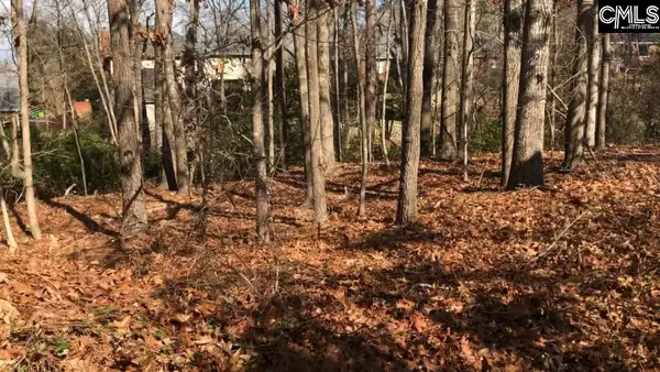 326 Carola Lane, Lexington, SC 29072