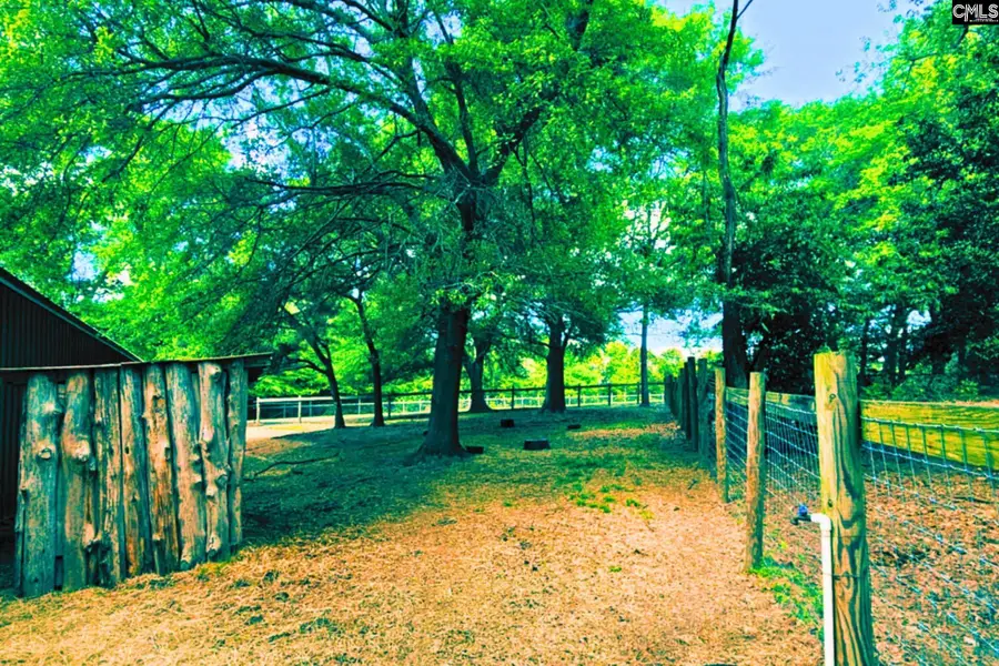 360 Twisting Road, Lexington, SC 29072 - #3