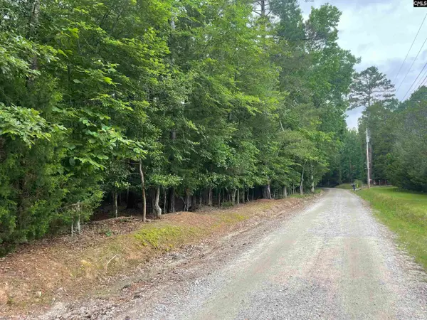 NX173 Annie Adkins Road, Irmo, SC 29063