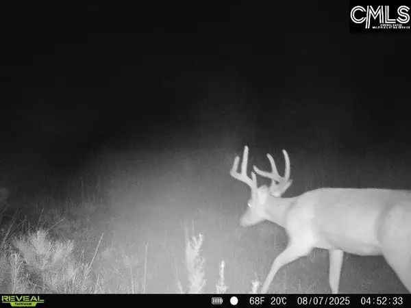 0000 N Brewington, Manning, SC 29102