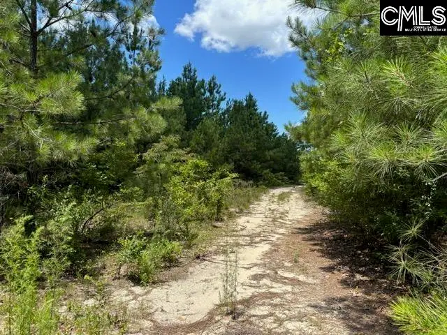 000 Featherrun Road, Kershaw, SC 29067 - Image #2