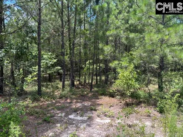 000 Featherrun Road, Kershaw, SC 29067 - Image #3