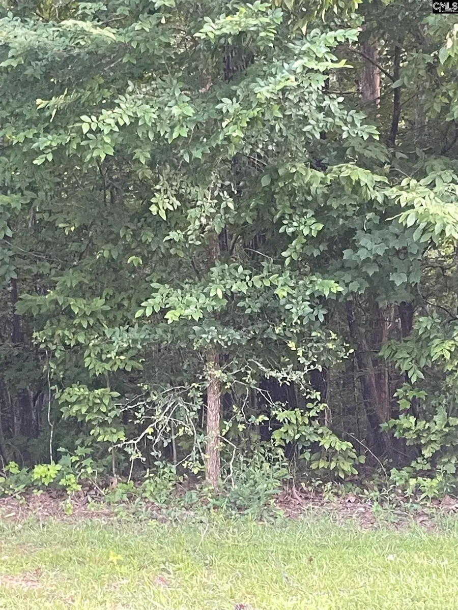 11 Otter Trail Ct, Columbia, SC 29203 - Image #3