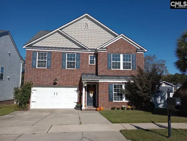 100 Palm Street, Chapin, SC 29036