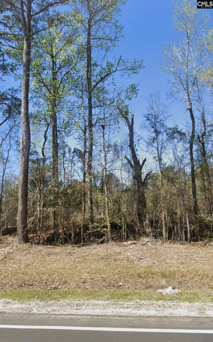 0 Broxton Bridge Road, Bamberg, SC 29003 - Image #3