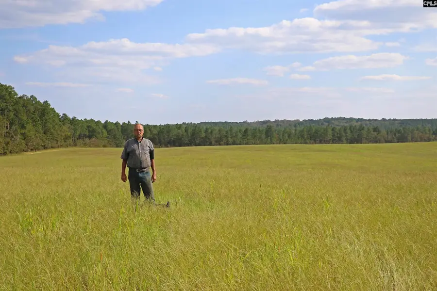 TBD Browns Pond Road, Wagener, SC 29164 - #3