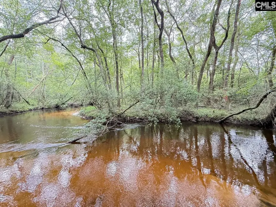 0 Gerrie Lane, West Columbia, SC 29170 - Image #2