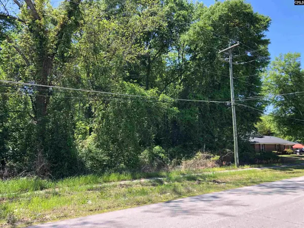 0 Hampton Street, Denmark, SC 29042