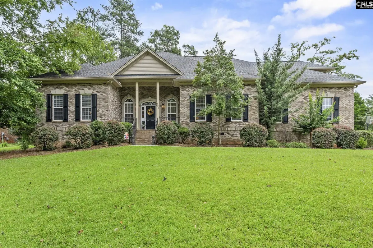302 Lookout Hill Drive, Chapin, SC 29036 - Image #1