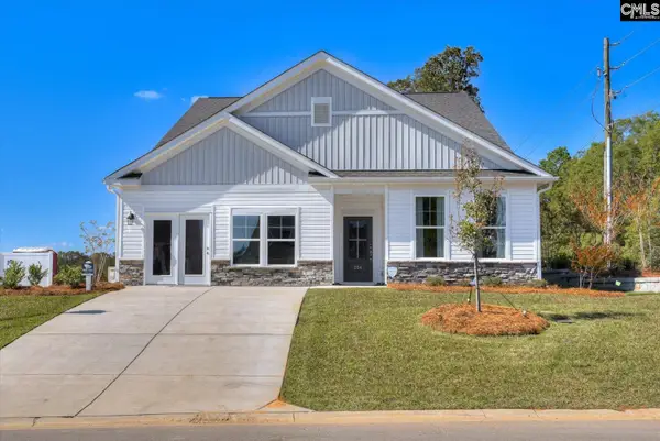 330 Chapin Place Way, Chapin, SC 29036