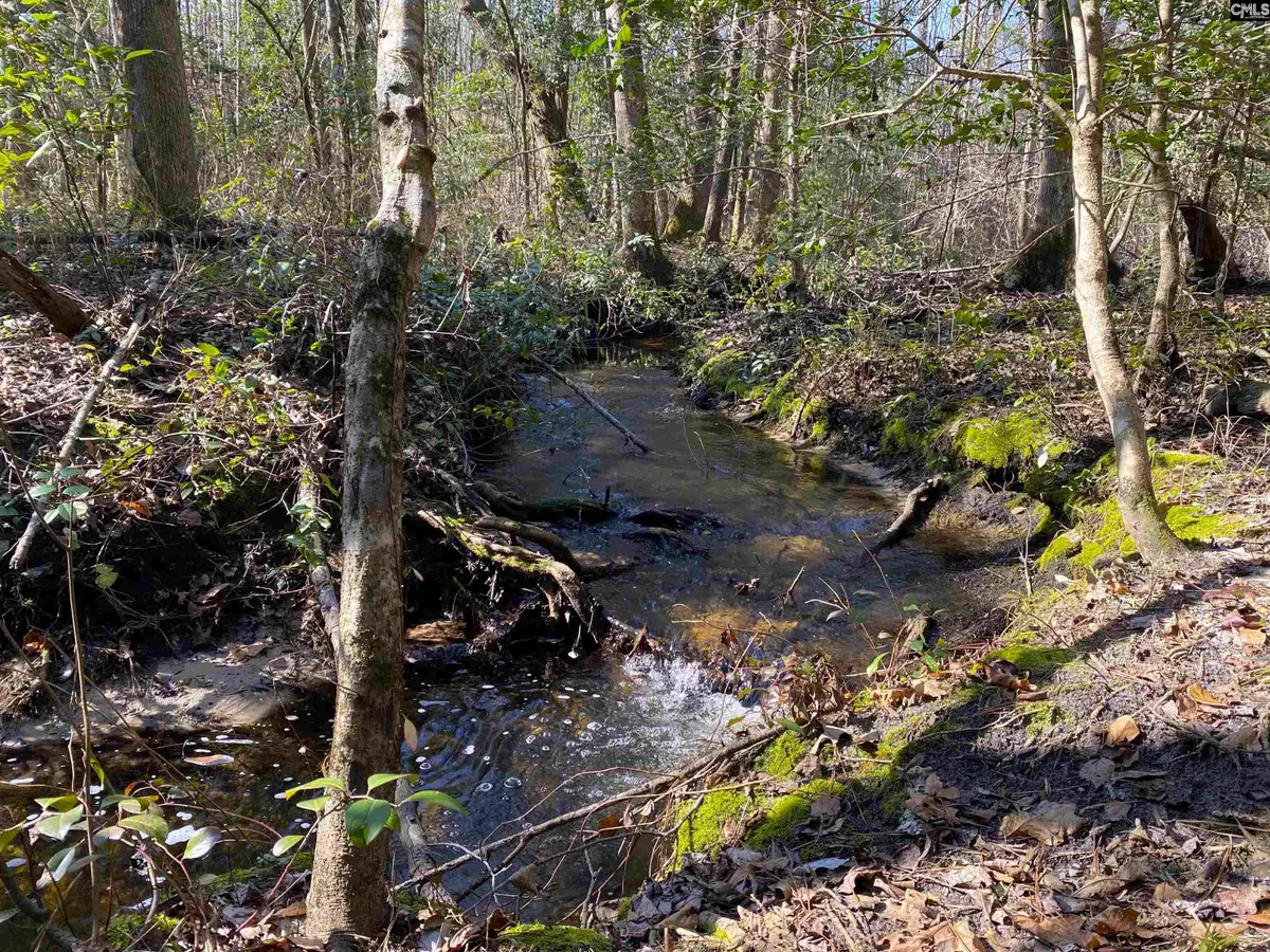 TBD 1 Juniper Road, Olar, SC 29843 - Image #1