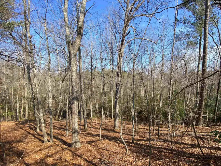 TBD 1 Juniper Road, Olar, SC 29843 - Image #2