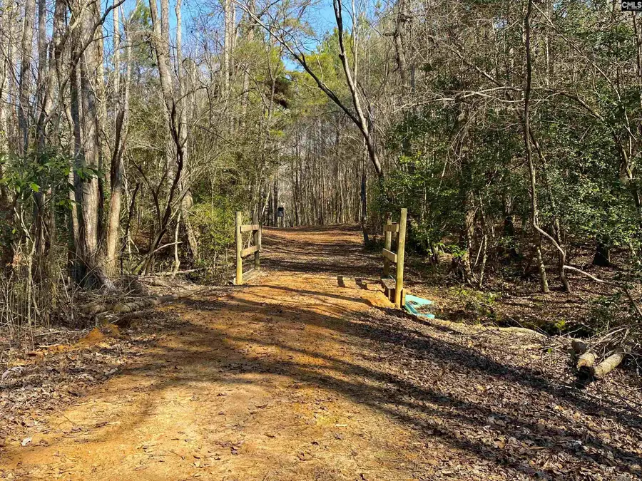 TBD 1 Juniper Road, Olar, SC 29843 - Image #3
