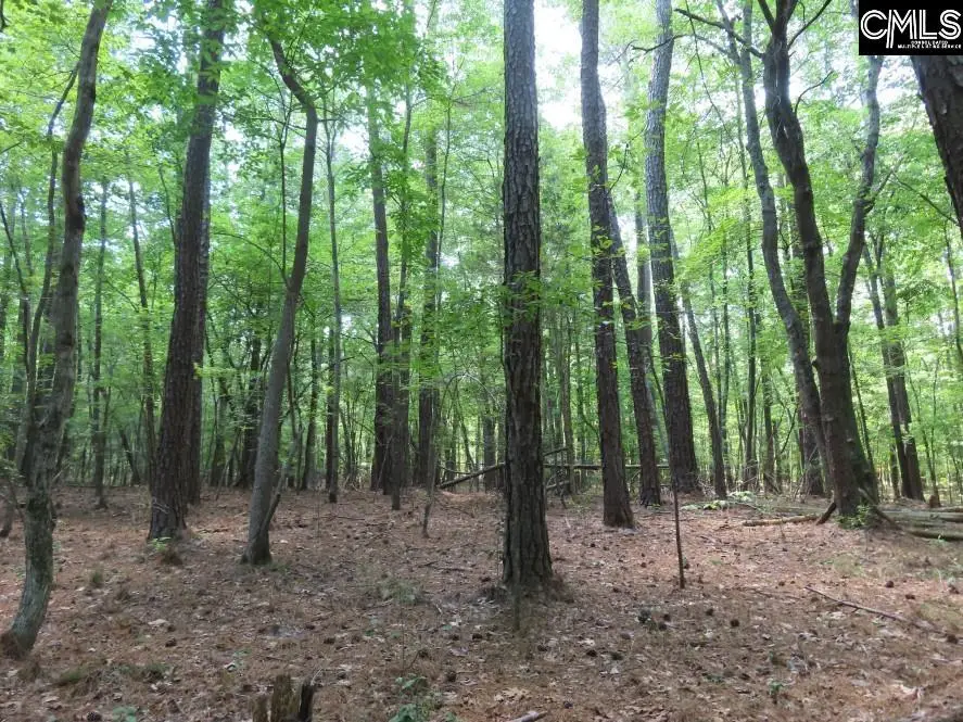 0 Park Road, Ridgeway, SC 29130 - Image #1