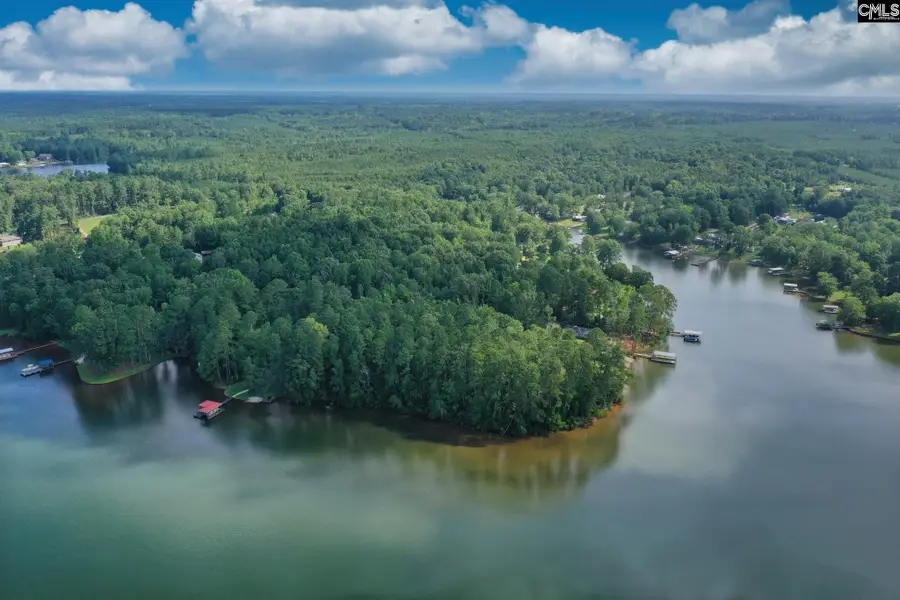 TBD Hollaway Cove Road, Chappells, SC 29037 - Image #3