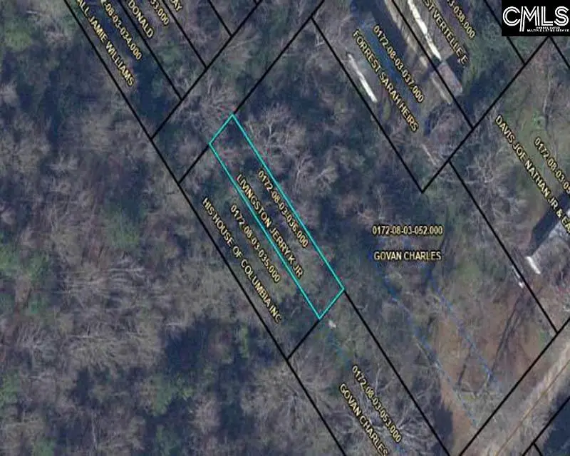 TBD Winslow Street, Orangeburg, SC 29115 - #1