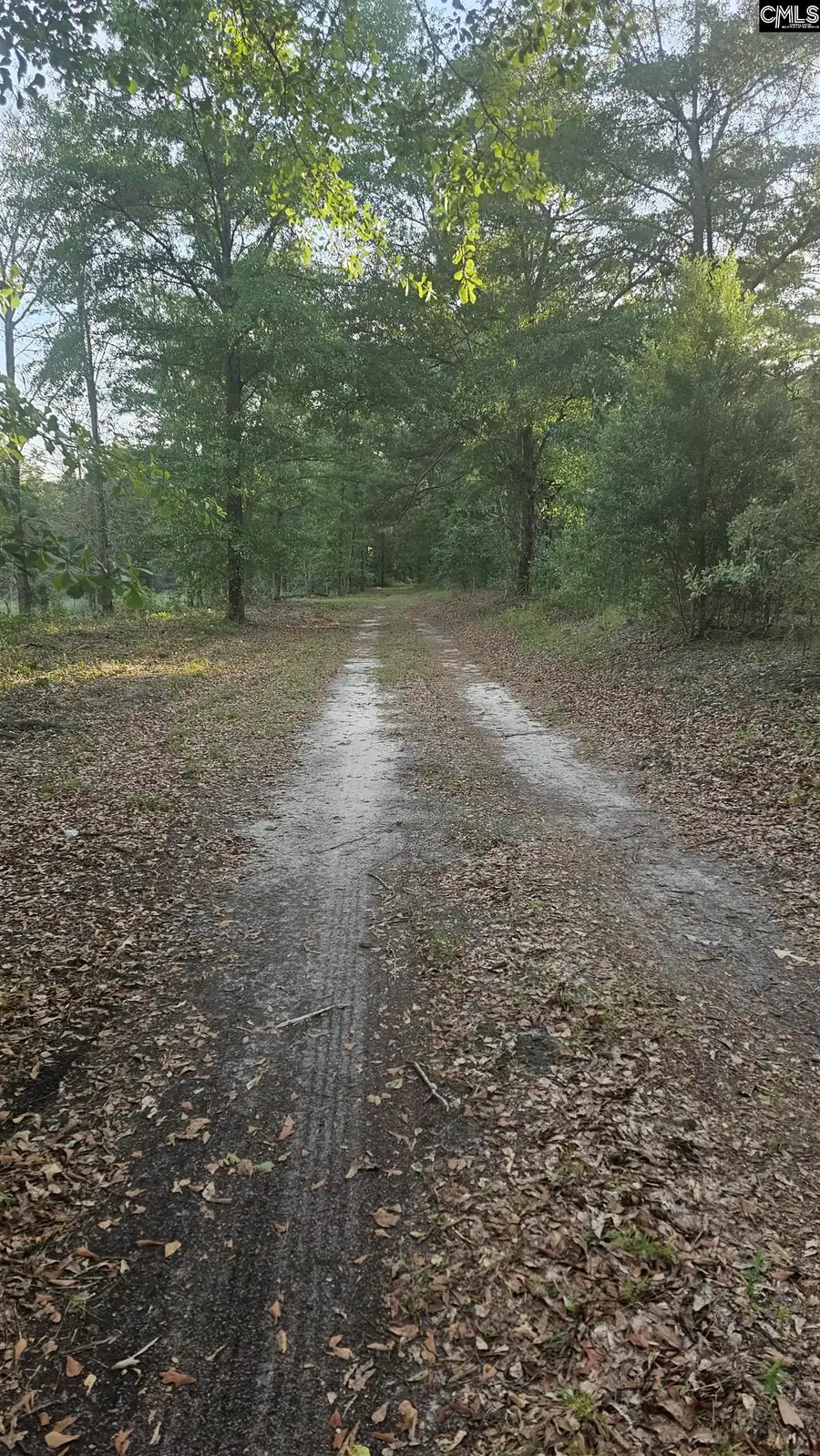 3064 Highway 1, Cassatt, SC 29032 - Image #3