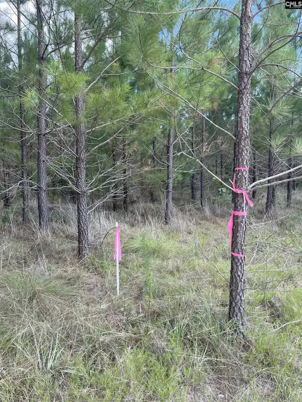 BFF 4 Brunson Teal Road #BFF 4, Patrick, SC 29584