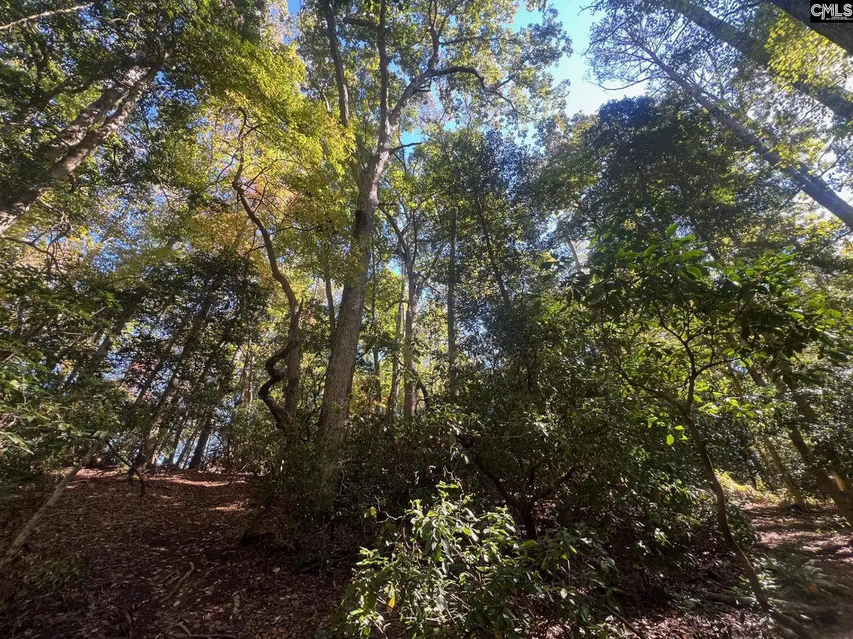 0 Roper Mountain Court, Lexington, SC 29073 - #1