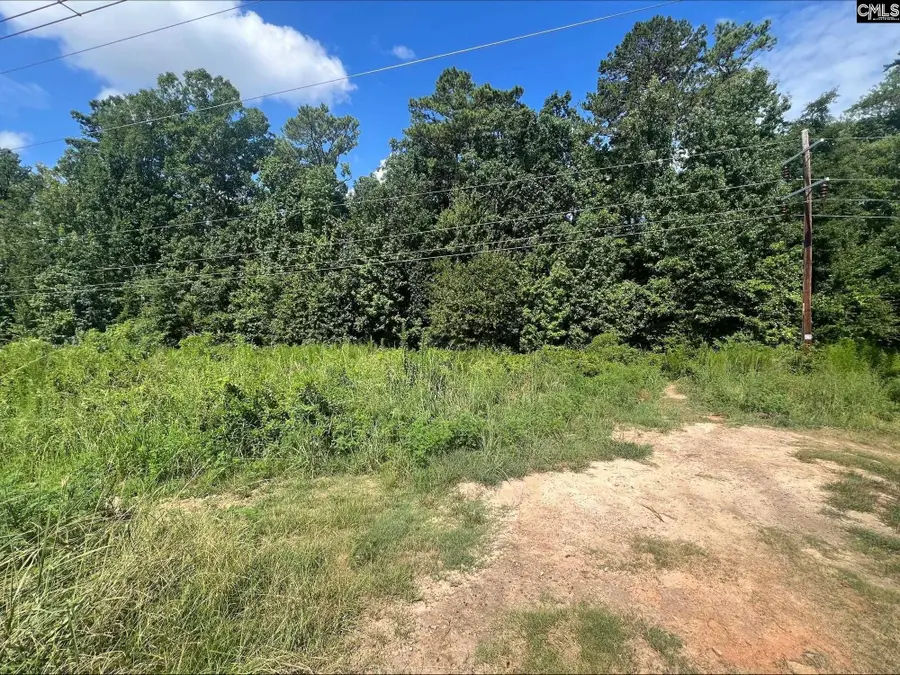 0 Roper Mountain Court, Lexington, SC 29073 - #2