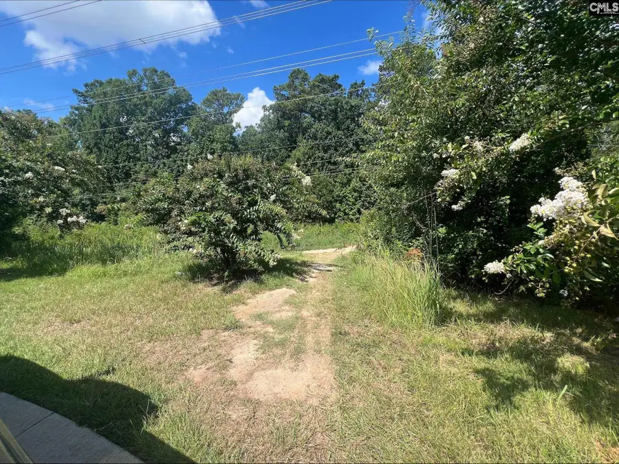 0 Roper Mountain Court, Lexington, SC 29073 - #3