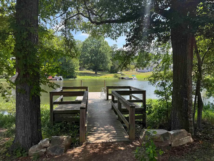 138 Sunsation Drive, Chapin, SC 29036 - Image #3