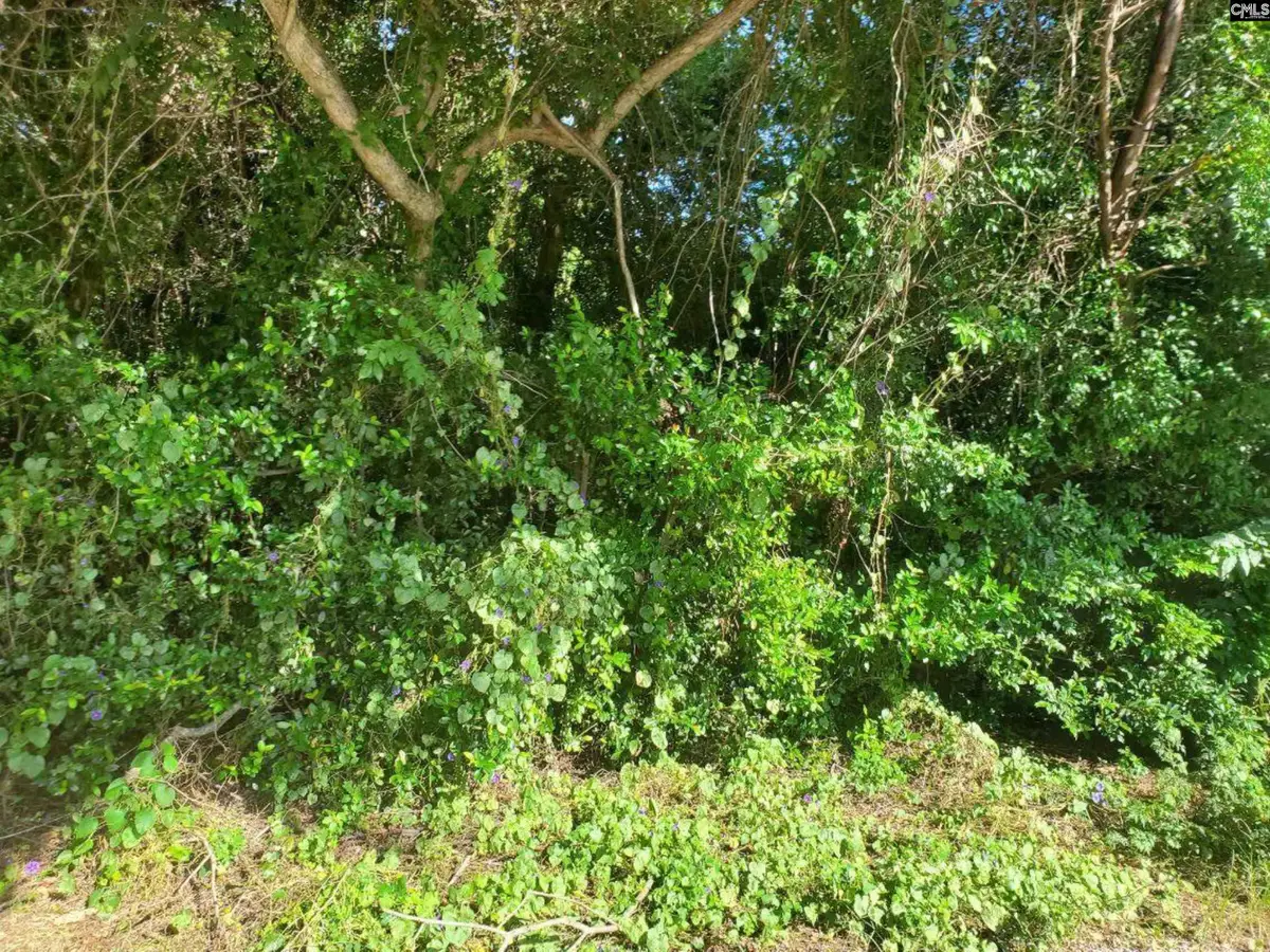 1671 Desoto Road, Orangeburg, SC 29115 - Image #1