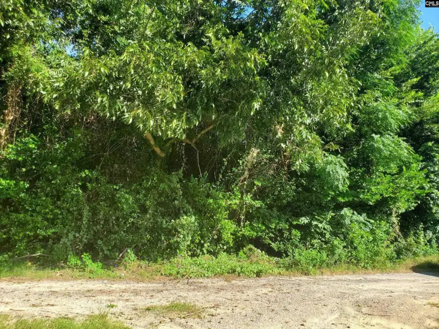 1671 Desoto Road, Orangeburg, SC 29115 - Image #2