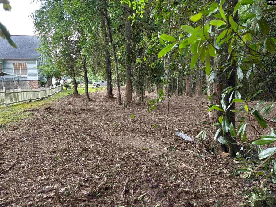 25 Crickle Creek Lane, Camden, SC 29020 - Image #3