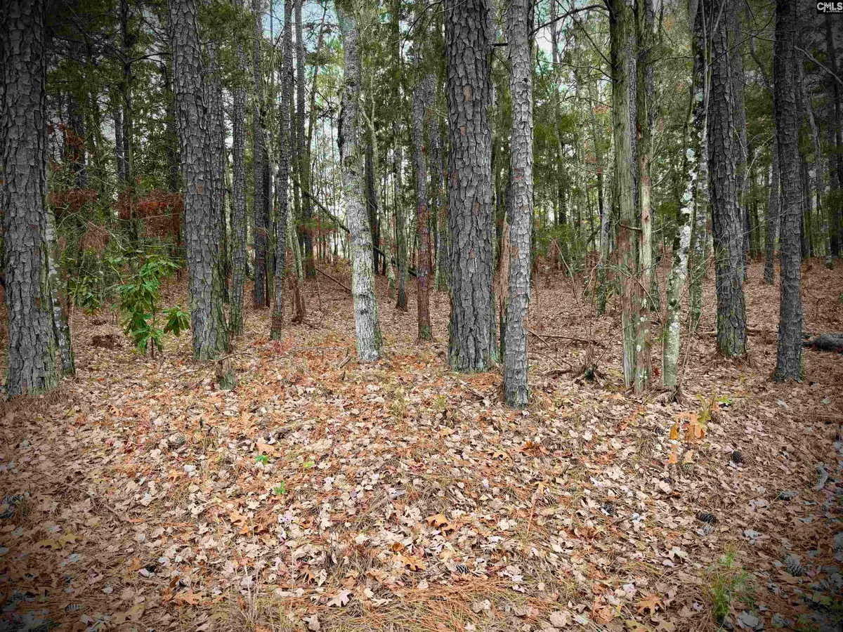 215 N & Amber Lane, Blair, SC 29015 - Image #1