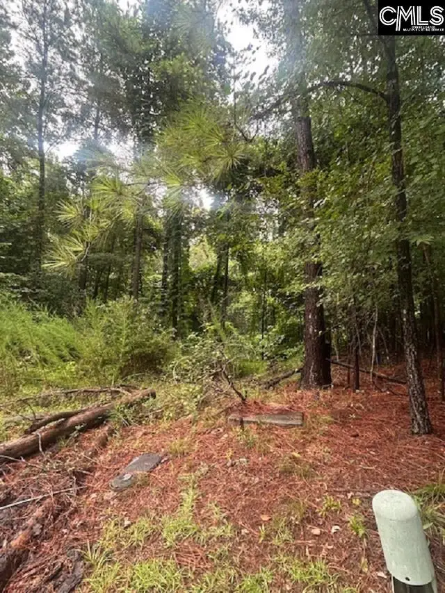 308 Bryars Court, Lexington, SC 29072 - Image #1