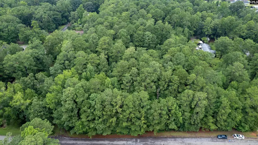 TBD Baron Road, Lexington, SC 29072 - Image #3