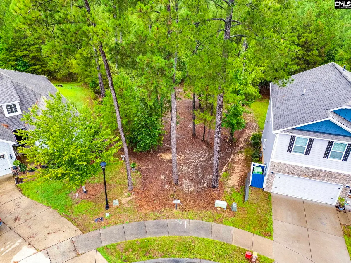 794 Carolina Aster Drive, Blythewood, SC 29016 - Image #1